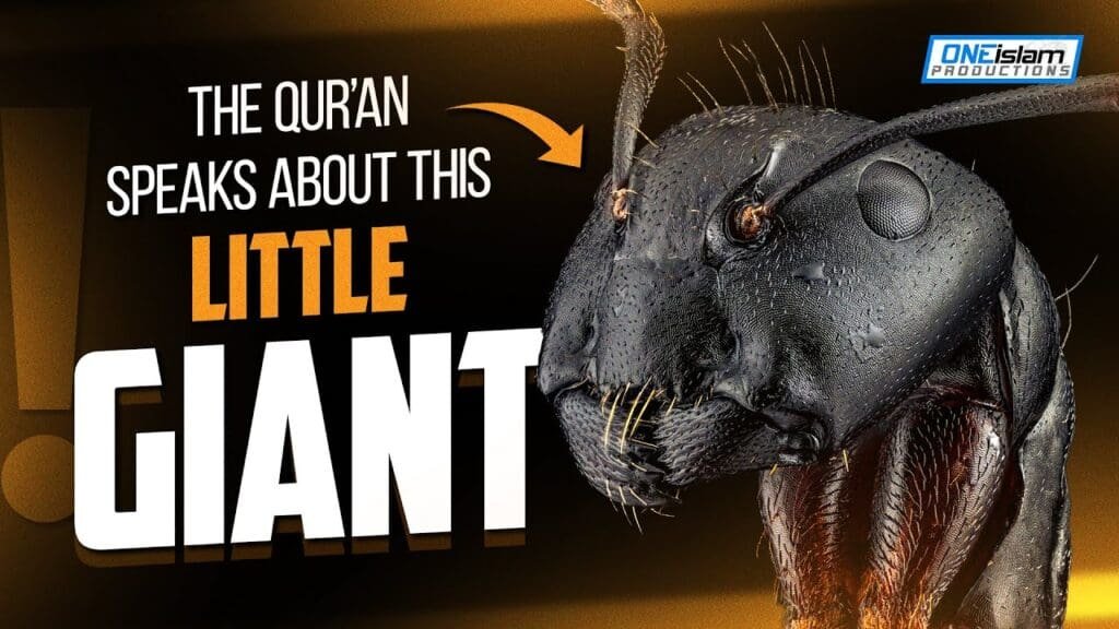 The Qur'an speaks about this little giant!